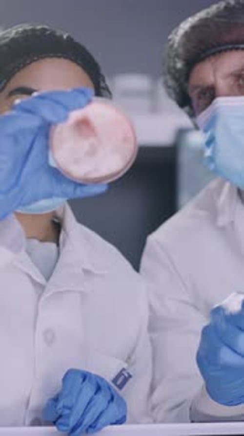 Scientists Observe Petri Dish Sample in Lab