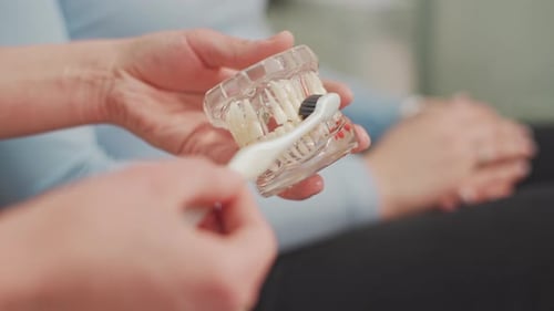 The dentist shows the patient how to properly brush her teeth on her own. Dentistry, dental hygiene
