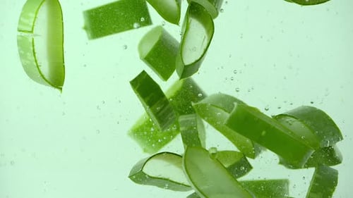 Fresh Aloe Vera Slices Floating in Clear Liquid