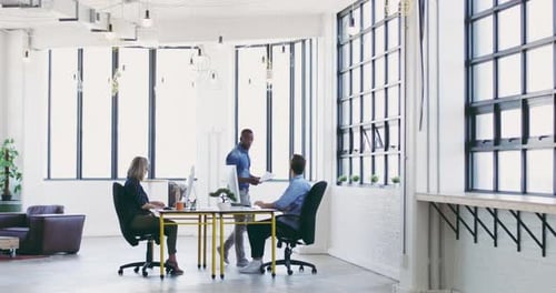 4K video footage of a diverse group businesspeople working together in a modern office