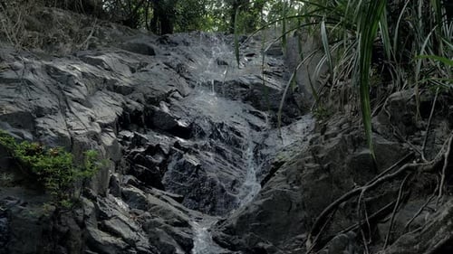 Closeup Slow Motion Shot of Small Waterfall in the Tropical Rainforest Jungle of Philippines Small