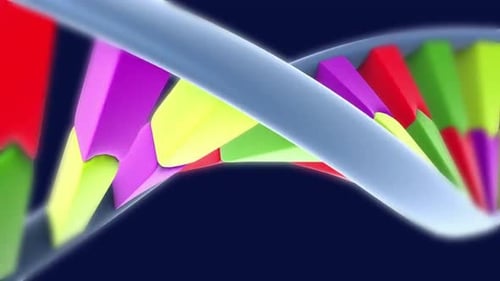 Structure en double hélice d'ADN dynamique avec segments colorés
