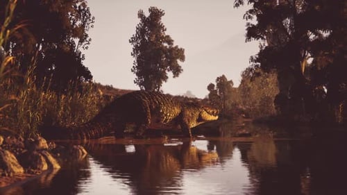 Crocodile explorant les eaux calmes au crépuscule près d'une rive luxuriante