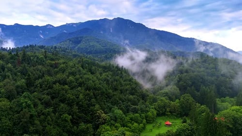 Aerial View of Forested Mountains with Morning Mist