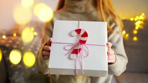 Closeup Young Woman in Cosy Sweater Giving a Christmas Packed Gift Box