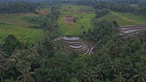 Lush green rice terraces in bali, indonesia