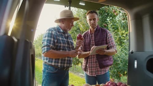Farmers Discuss Apple Crop in Orchard