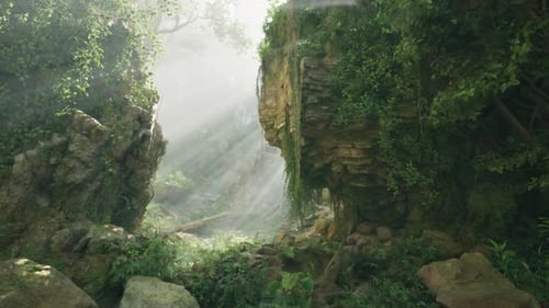 A Serene Forest Landscape with Rocks and Lush Vegetation