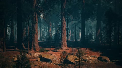 Sequoia Forest Painting Majestic Trees in a Lush Green Landscape Dark Forest