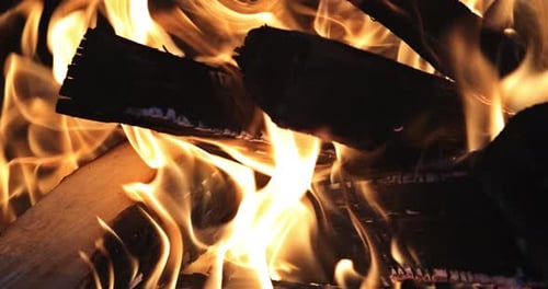 A Large Bonfire with Flames of Wood Fire is Engulfed in Log Embers Burning in the Middle
