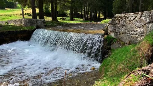 Pretty Forest Scene with a Small Lovely Waterfall and Stream River Surrounded by Lush Green and Yell