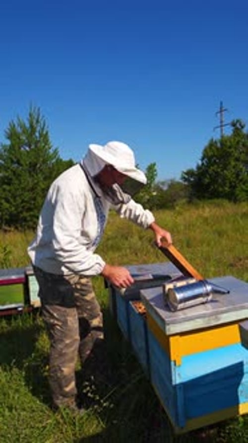 Beekeeper inspects bees. Apiarist on a bee farm on industrial pipes background.