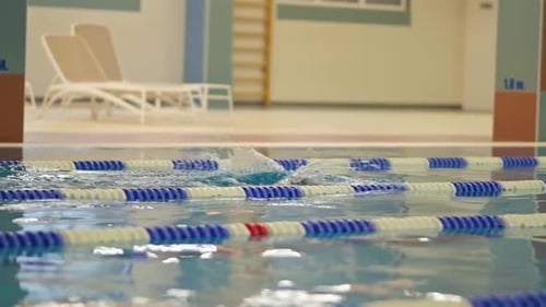 Man swimming in a Swimming Pool. Athlete, Sports, Swimming Training, Lane Lines