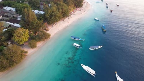 Tropical Beach