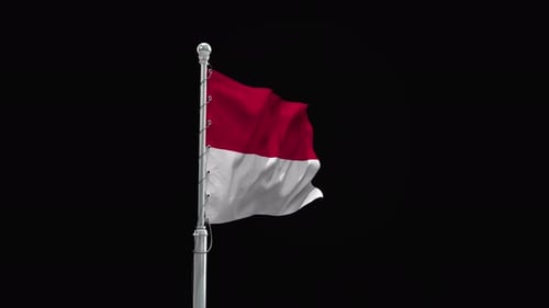 Realistic Waving Indonesian Flag on Black Background
