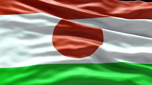 Realistic Fabric Waving Flag of Niger