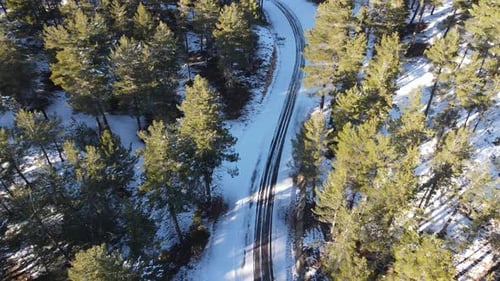 Dirt Forest Road