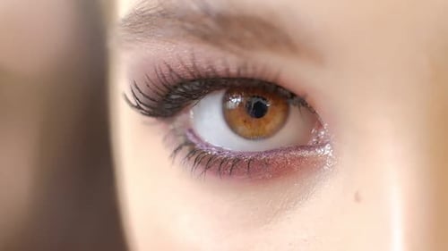 Woman's Eye Close-up With Elegant Makeup