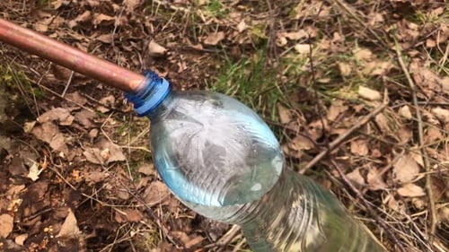Savia de abedul, agua de abedul o jugo de abedul, extraiga un líquido saludable de la planta del árbol en el bosque