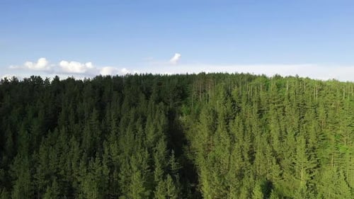 Forest, village and buildings. Aerial view of beautiful agricultural field at daytime. Rural landsca