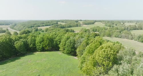 Lush Green Trees And Open Fields In Summer In Leach, Oklahoma, USA. aerial descending shot