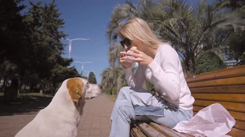 Woman eating in park shawarma feeds stray dog