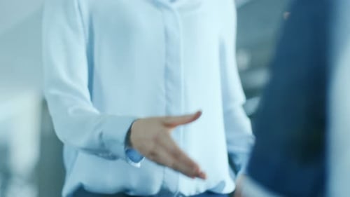 Close-up of the Businesswoman and Businessman Shaking Hands with Emphasis on the Handshake.