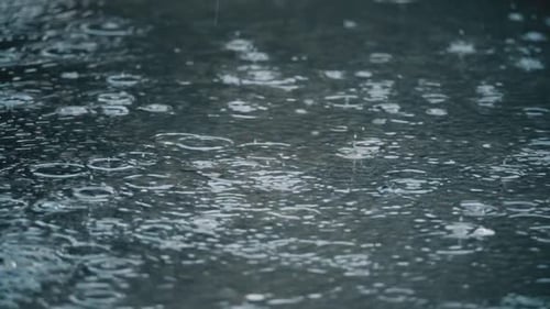 Hypnotic Close Up of Raindrops Creating Rings on a Water Surface