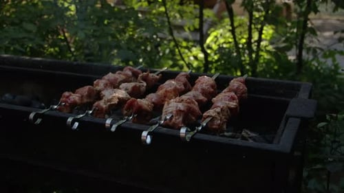 Raw Meat Cooking on Charcoal Barbecue Grill