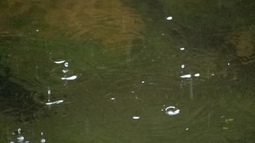 Rain drops hit the surface of a pond, creating rebound droplets in slow motion.
