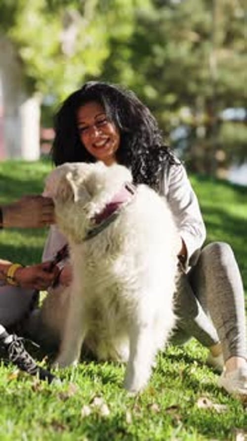 Happy Woman Petting Her Beautiful White Dog in the Park Vertical