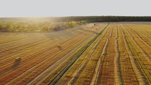 Golden Farm Fields, Aerial View at Sunset