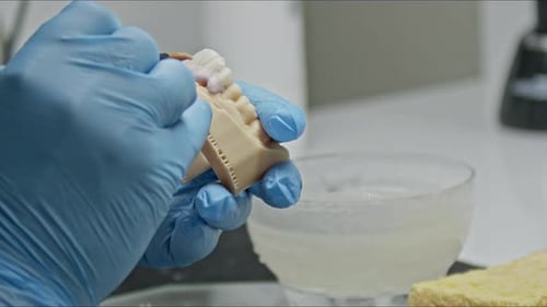 Dental Mold Being Painted in a Medical Lab