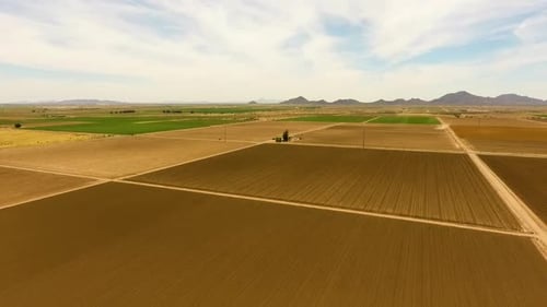 Wide rotating drone shot of farm field with crop rows