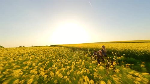 FPV of Woman and Dog Riding a Vintage Motorcycle in the Countryside at Sunset