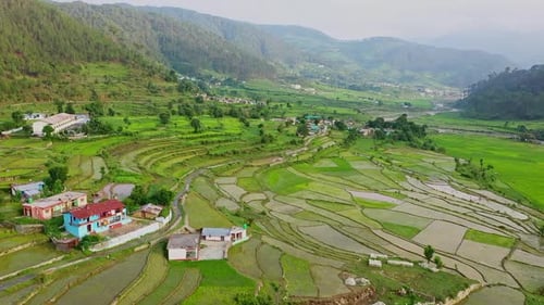 Step Farming in Uttarakhand Village Rice Fields