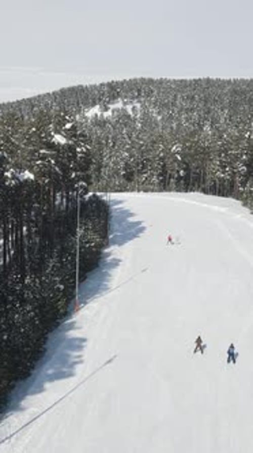 Skiing Place In Forest