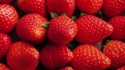 Ripe Red Strawberries Hands Take Berry Close Up Delicious Summer Berries Vegetarian Food Organic