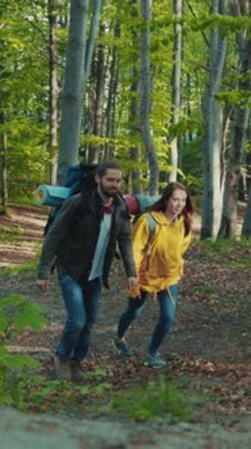 Young Adults Hiking Together in a Lush Forest