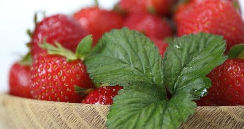Many fresh ripe strawberries with green leaves in bowl on white background, rotating