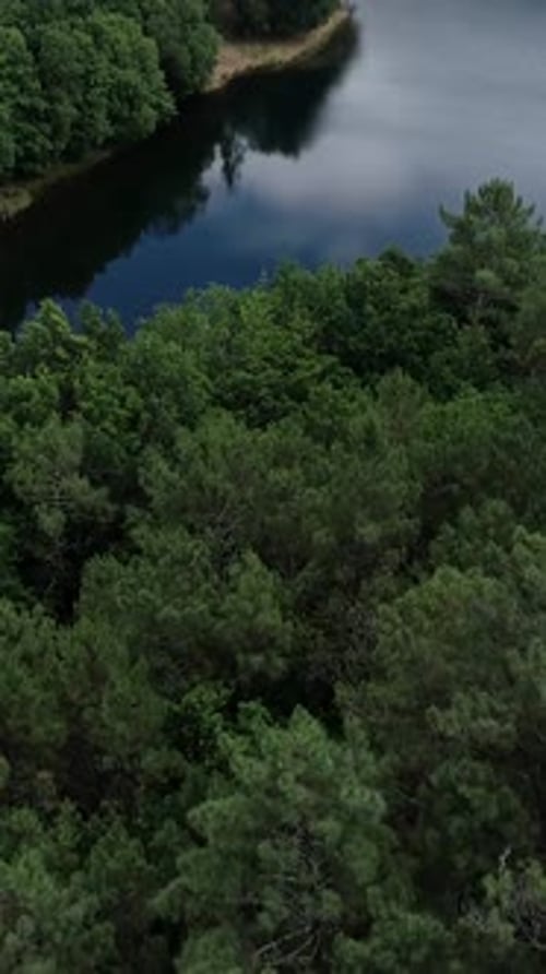 Vertical Video of Calm River And Forested Landscape Aerial View
