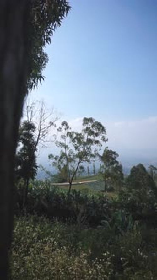 beautiful vertical video portrait natural scenery mountains natural panorama hills, and forest