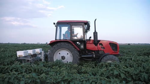 Pesticide Sprayer Tractor working on a large green field. A tractor spraying wheat field.