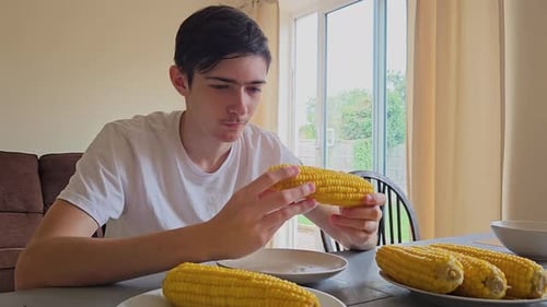 Young Adult Inspects an Ear of Corn at Home