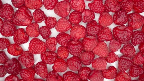 Close Up Rotation Raspberry Macro Red Fresh Raspberries Fruit Rotation Raspberries are Spinning in