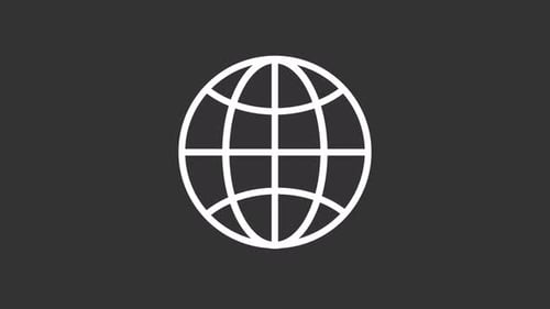 Animated Globe White Line Icon