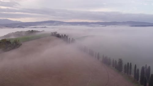 Aerial view of misty countryside with cypress trees, Italy.
