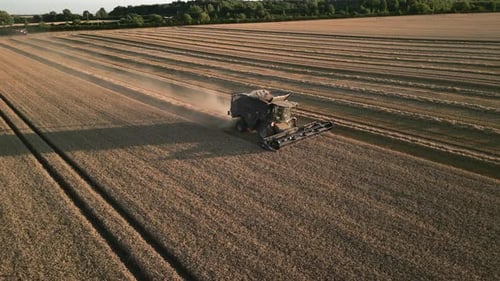 Establishing Drone Shot of Combine Harvester Harvesting at Golden Hour Sunset Yorkshire UK