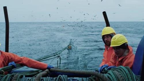Fishermen Work with Ropes on a Boat at Sea