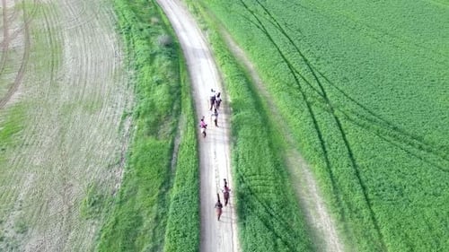 Horseback riding in a green Badlands terrain - Top down aerial footage.